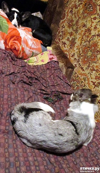  2:   