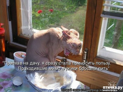  5: ,   ...