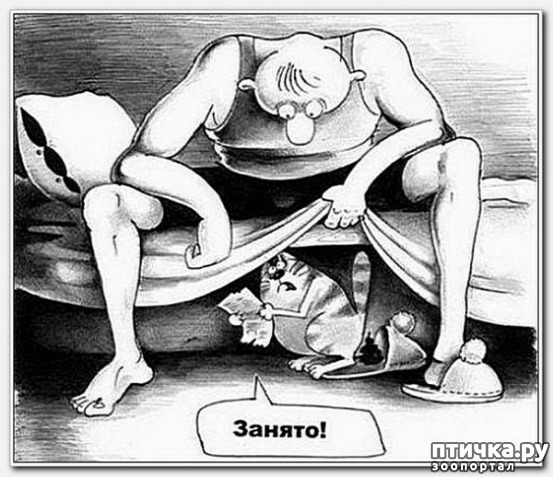  11: ,   ...