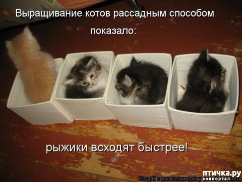  12: ,   ...