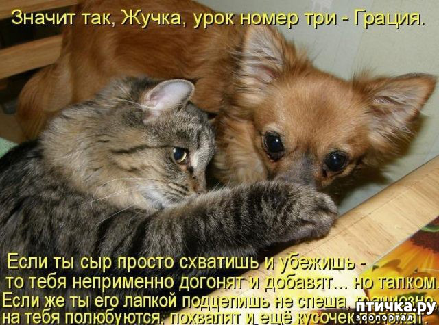  16: ,   ...
