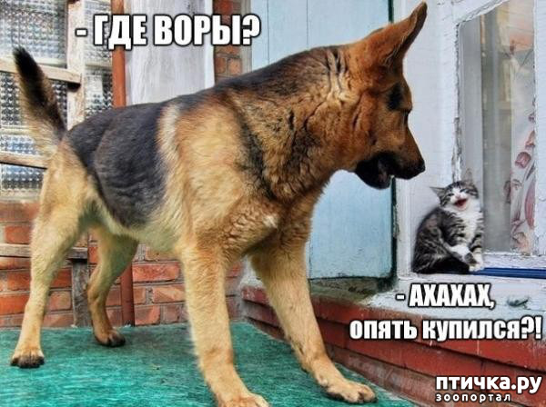  24: ,   ...