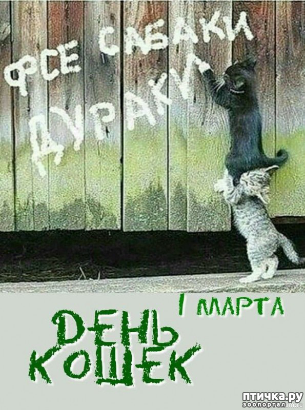  28: ,   ...