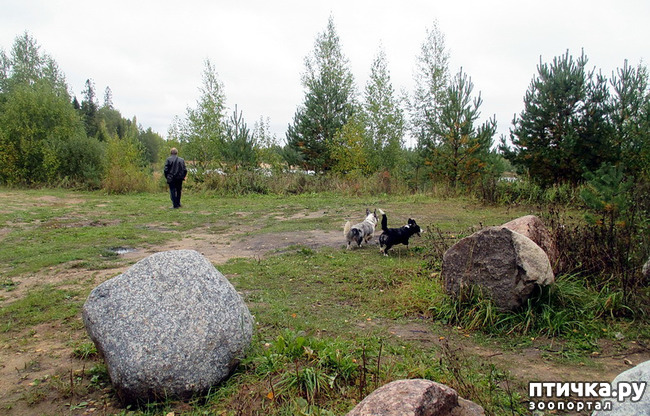  12:   