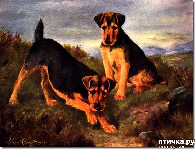  3:    