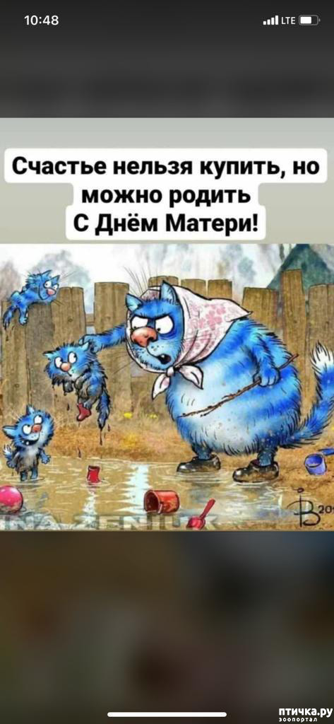  1:   !