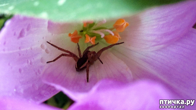  9:    