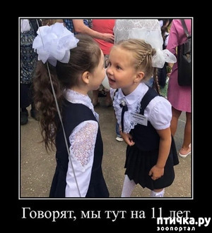 фото: И снова сентябрь...
