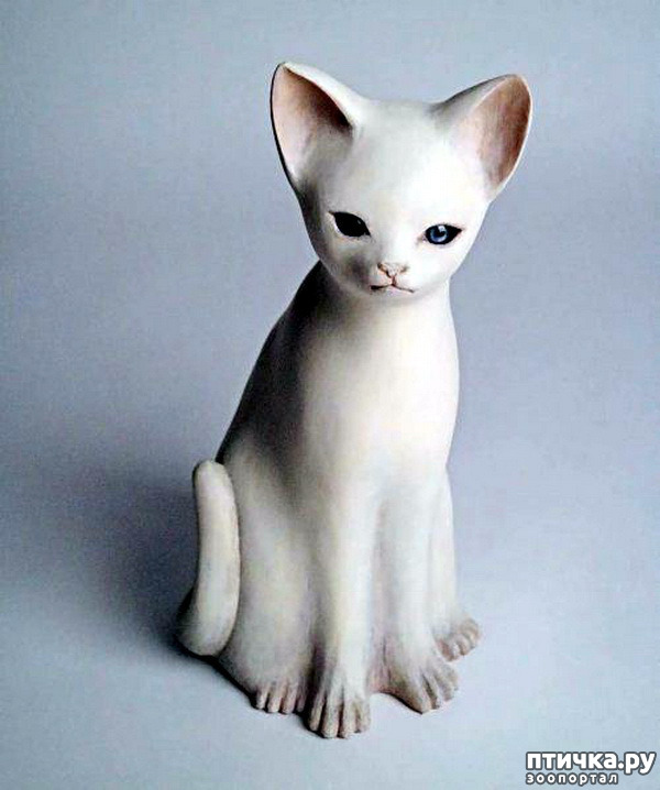  16:   