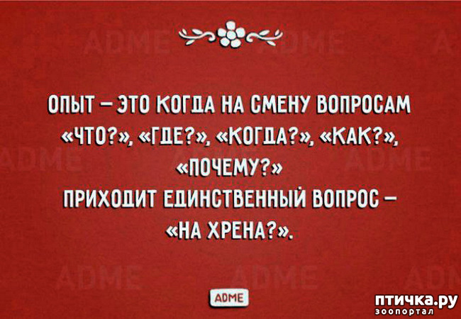  7:  
