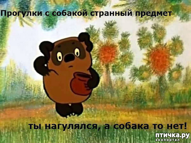  8:  