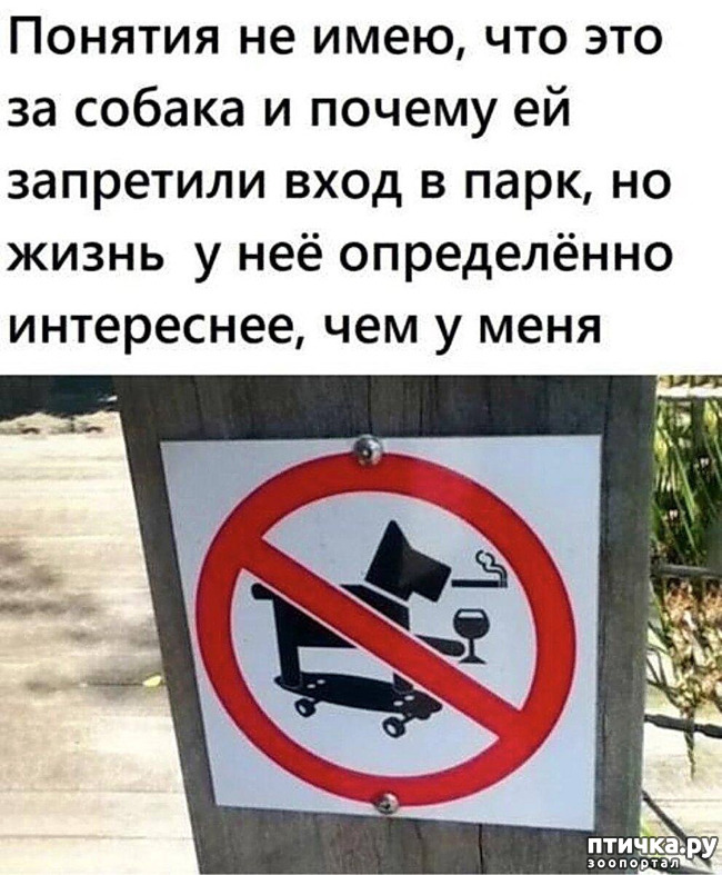  11:  