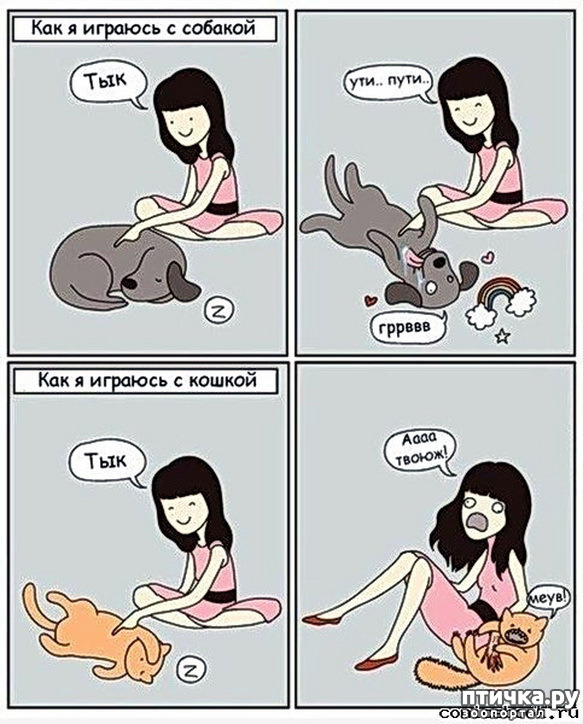  12:  