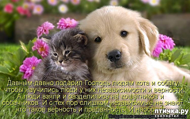  13:  