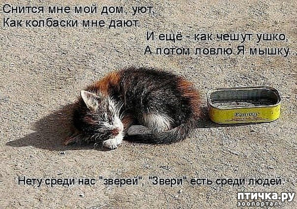  14:  