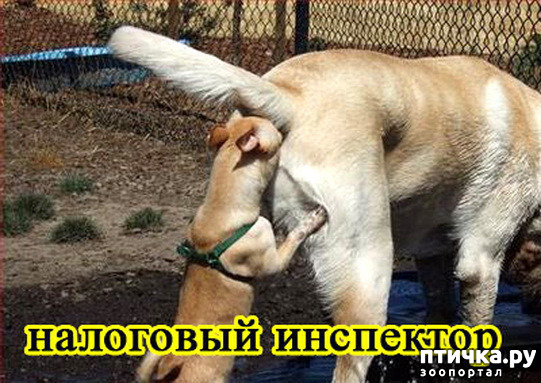  15:  