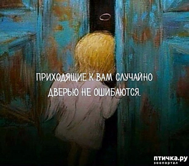  16:  