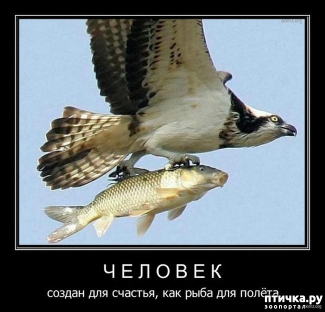  2:  