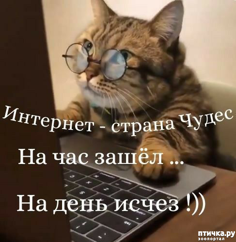 фото 1: Цветные пески в селе Шамарель (Маврикий)