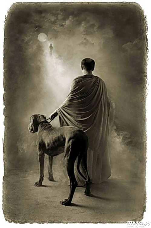  7:   . 