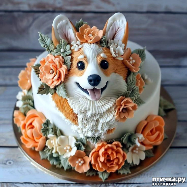  14:   . 