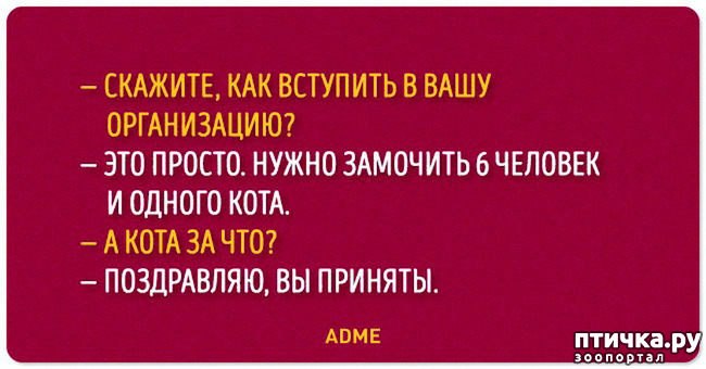  1:  
