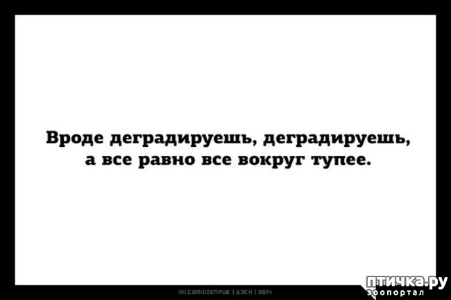  2:  