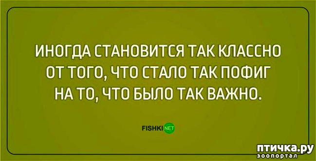  3:  