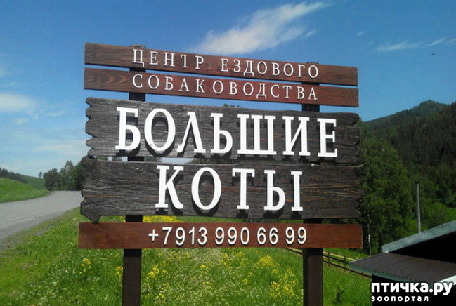  4:  