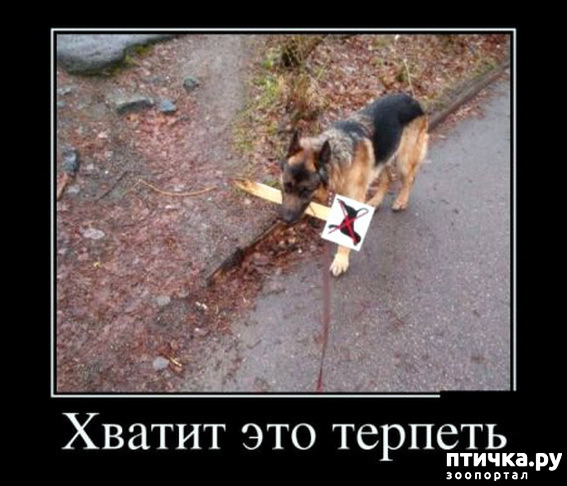  5:  