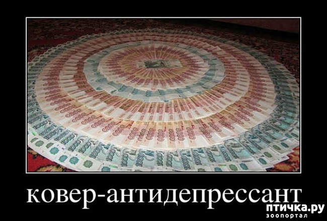  7:  