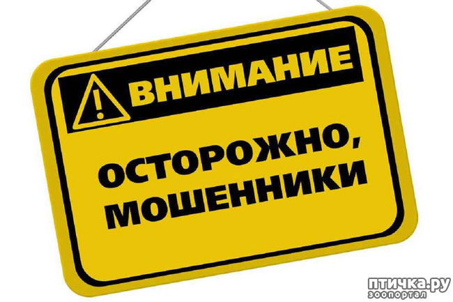  1: , 