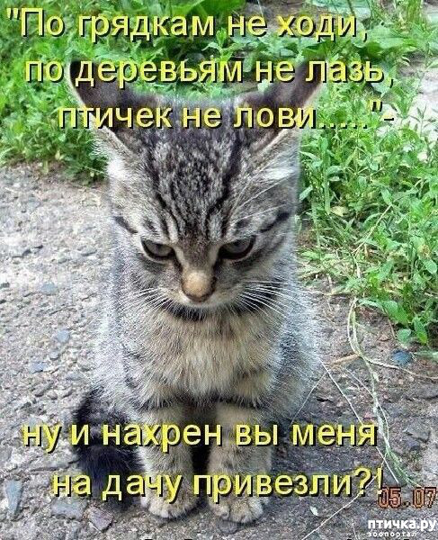  36: 