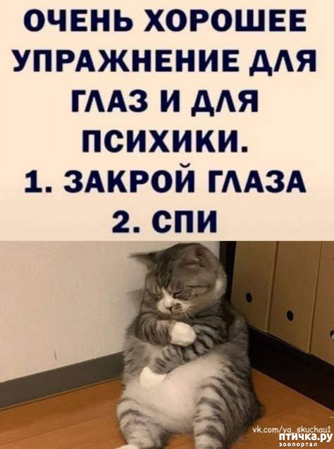  40: 