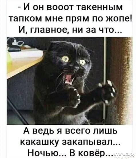  57: 