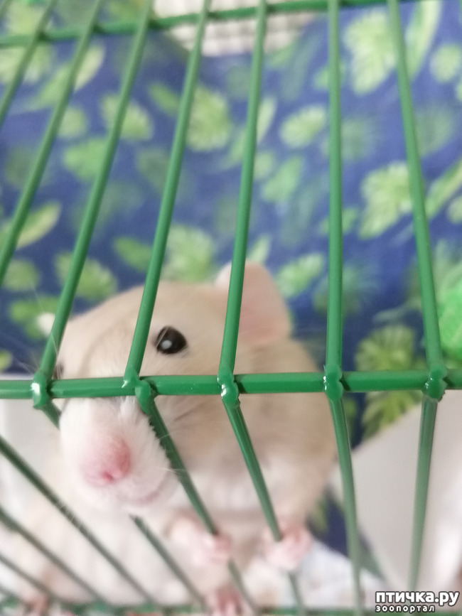  1:     