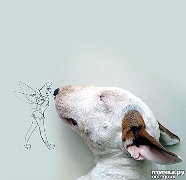  5:   . 