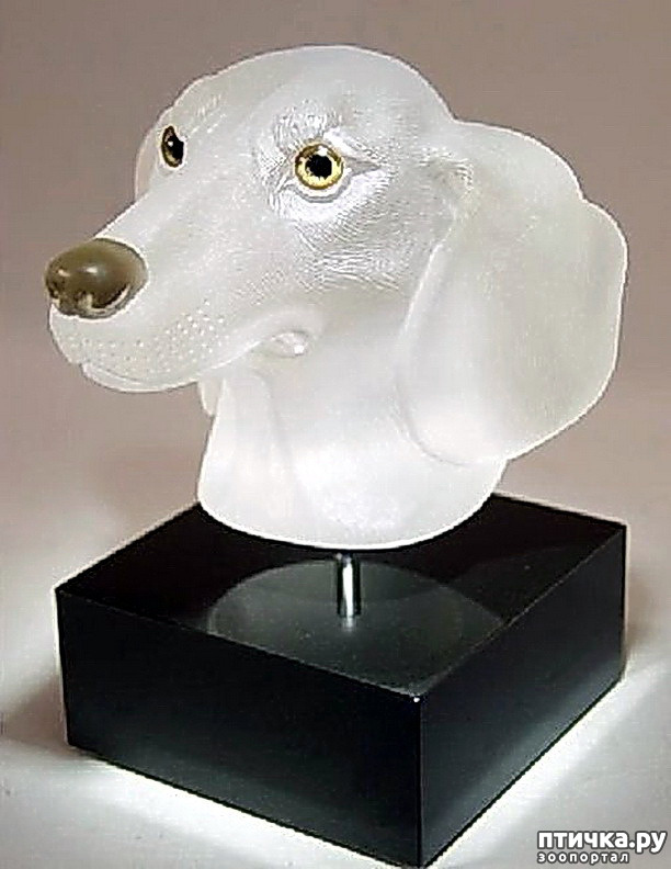  6:   . 