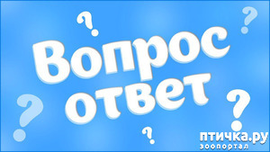 : 