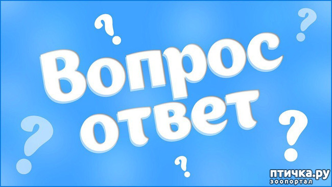  1: 