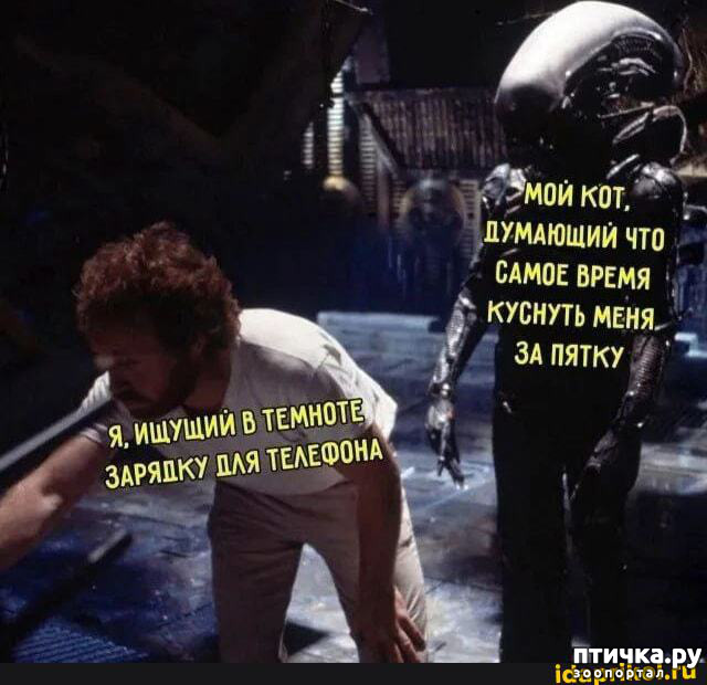  1:    ?