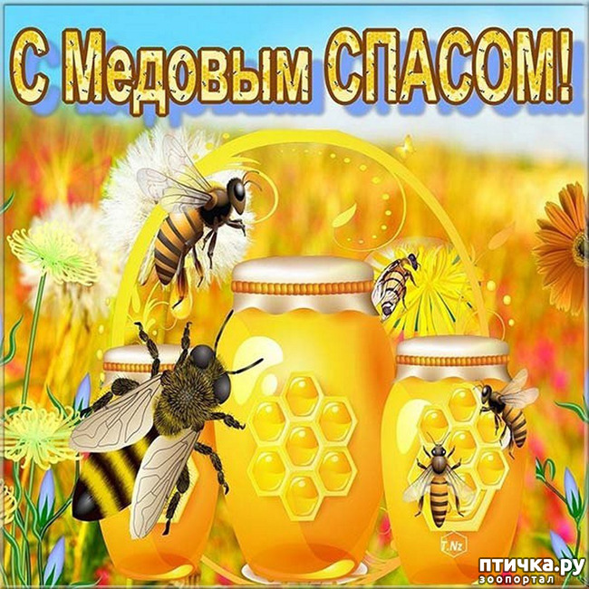  1:   !