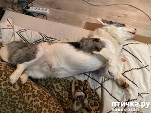 фотография: Приветы от детишек фото: Приветы от детишек