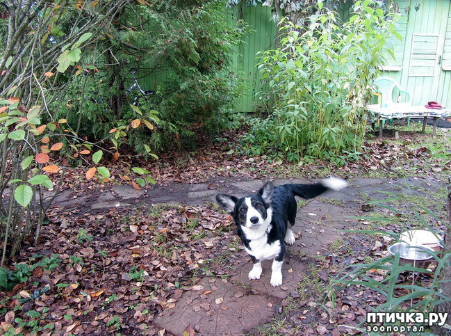 ���� 6: ������ �� ����. �������