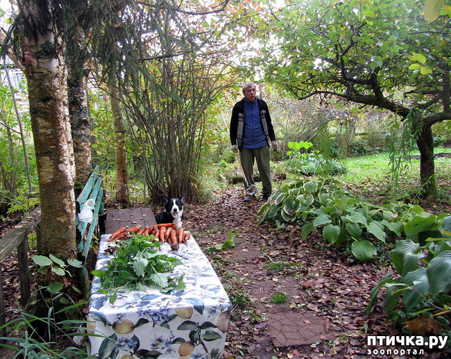 ���� 7: ������ �� ����. �������