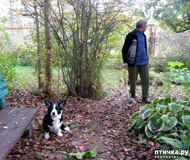 ���� 8: ������ �� ����. �������