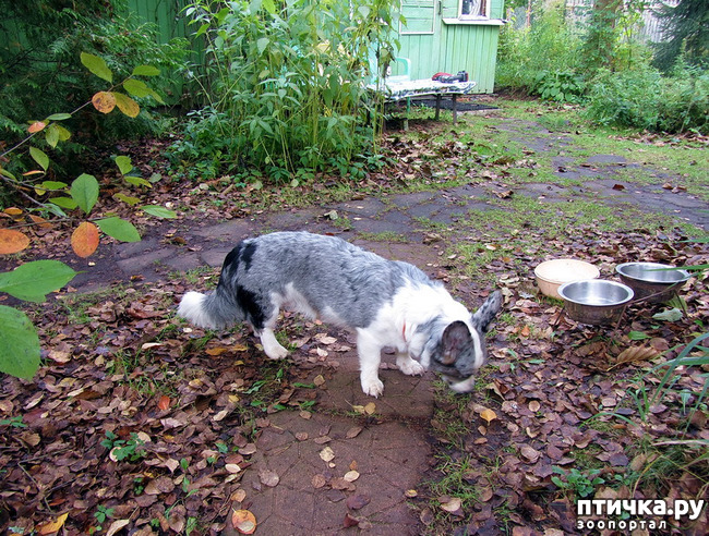 ���� 5: ������ �� ����. �������