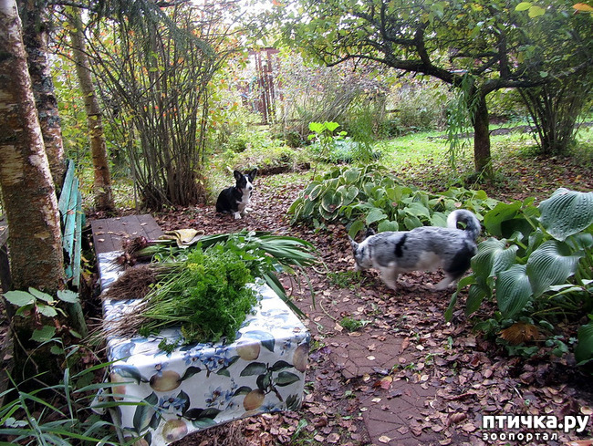 ���� 3: ������ �� ����. �������