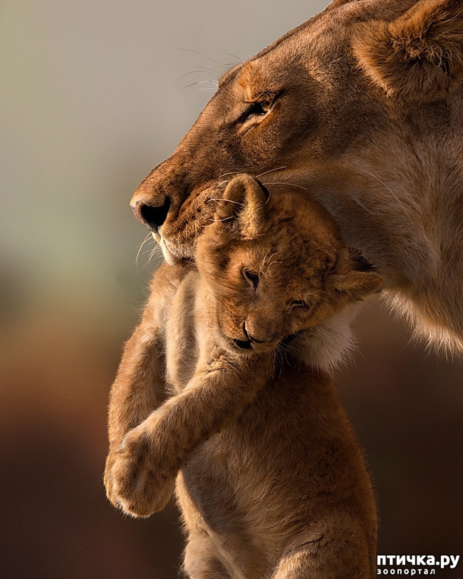 ���� 1: ����� ������� �������. �����������