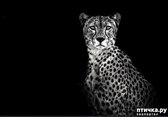 ���� 5: ����� ������� �������. �����������